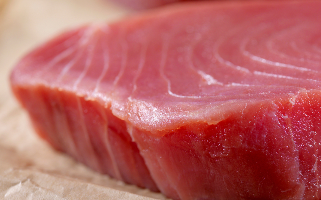 Rodzaje tuńczyka: bluefin, yellowfin, bigeye, albacore i bonito — jak się w tej ferajnie odnaleźć?