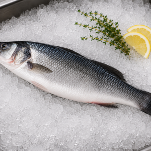 Labraks (Sea Bass) świeży patroszony - rozmiar ~800g