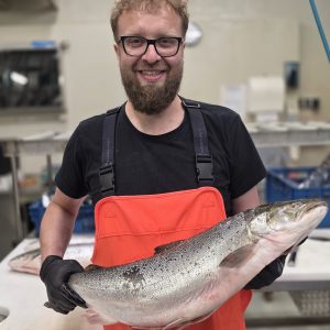 Troć bałtycka - ryba sezonowa, filet porcja~500g